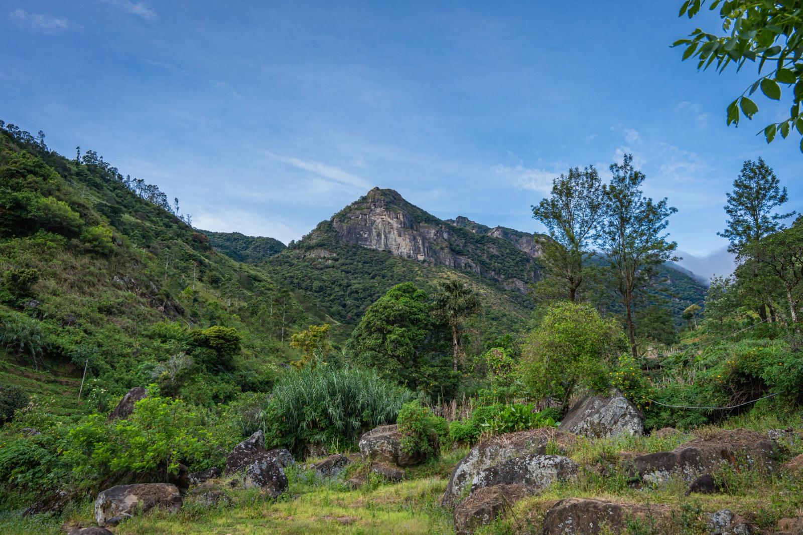 Explore the lush greenery and mountainous landscape of Mandaram Nuwara, Sri Lanka