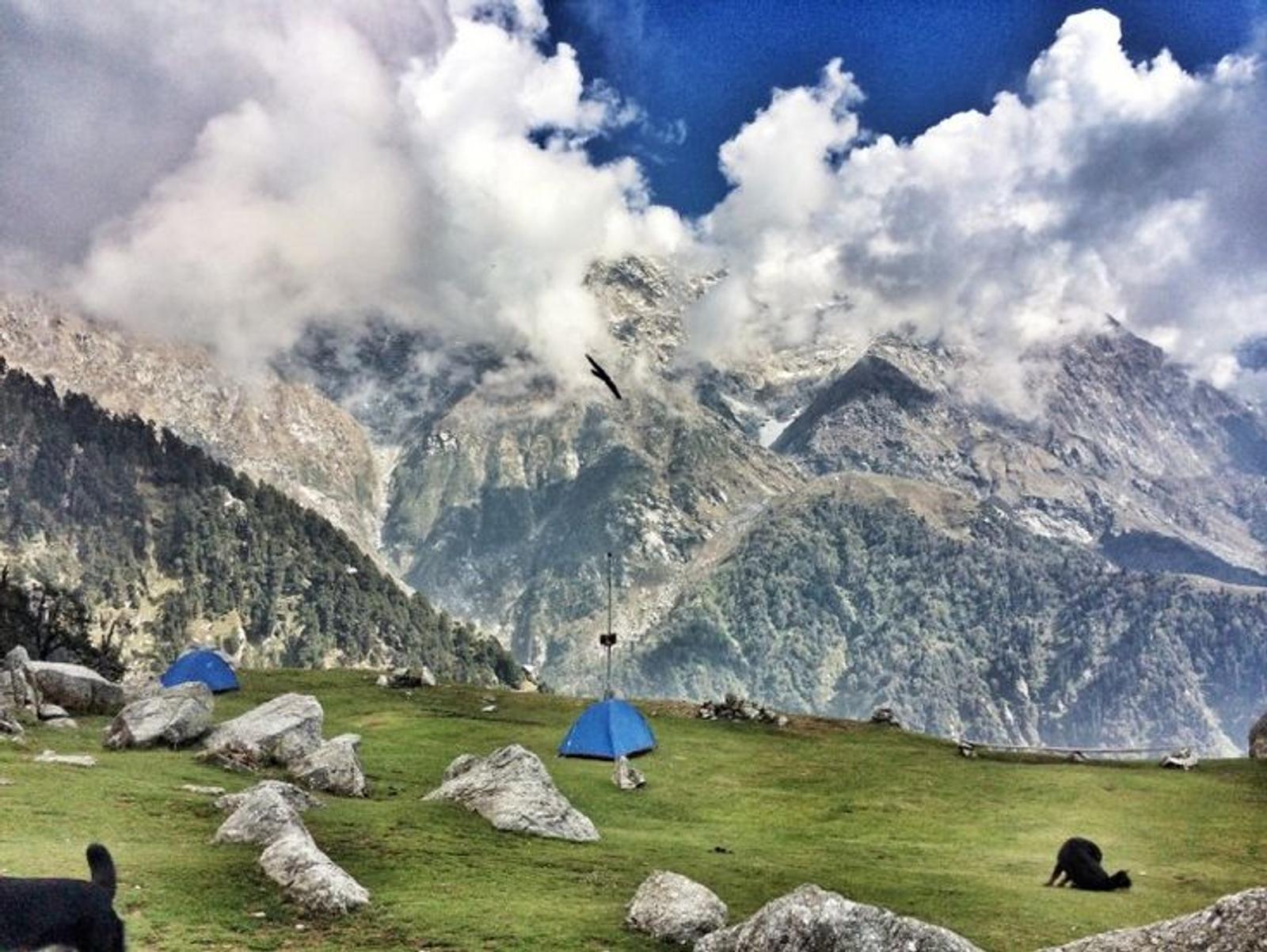 Triund day-trek