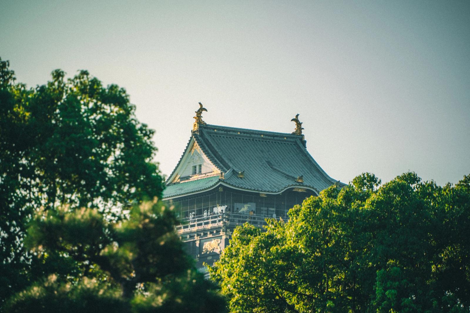 Serene view of a traditional Japanese castle hidden among lush green trees