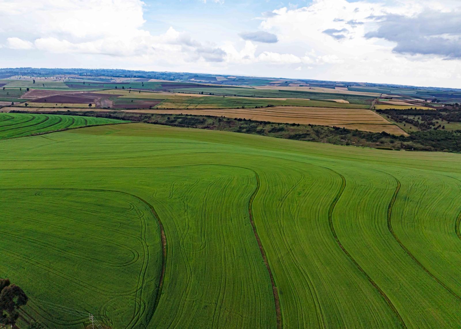 Aerial view of rolling green farmland under a cloudy sky