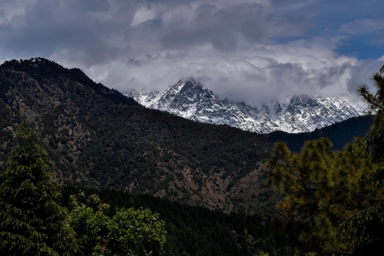 Stunning view of snow-covered mountains in Shimla, HP, India with lush greenery in the foreground