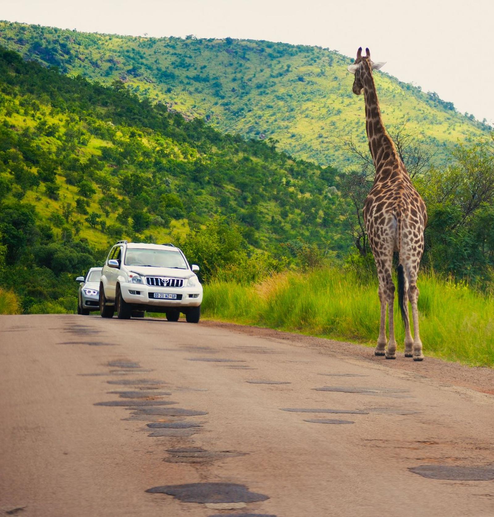 Johannesburg Kruger — South Africa