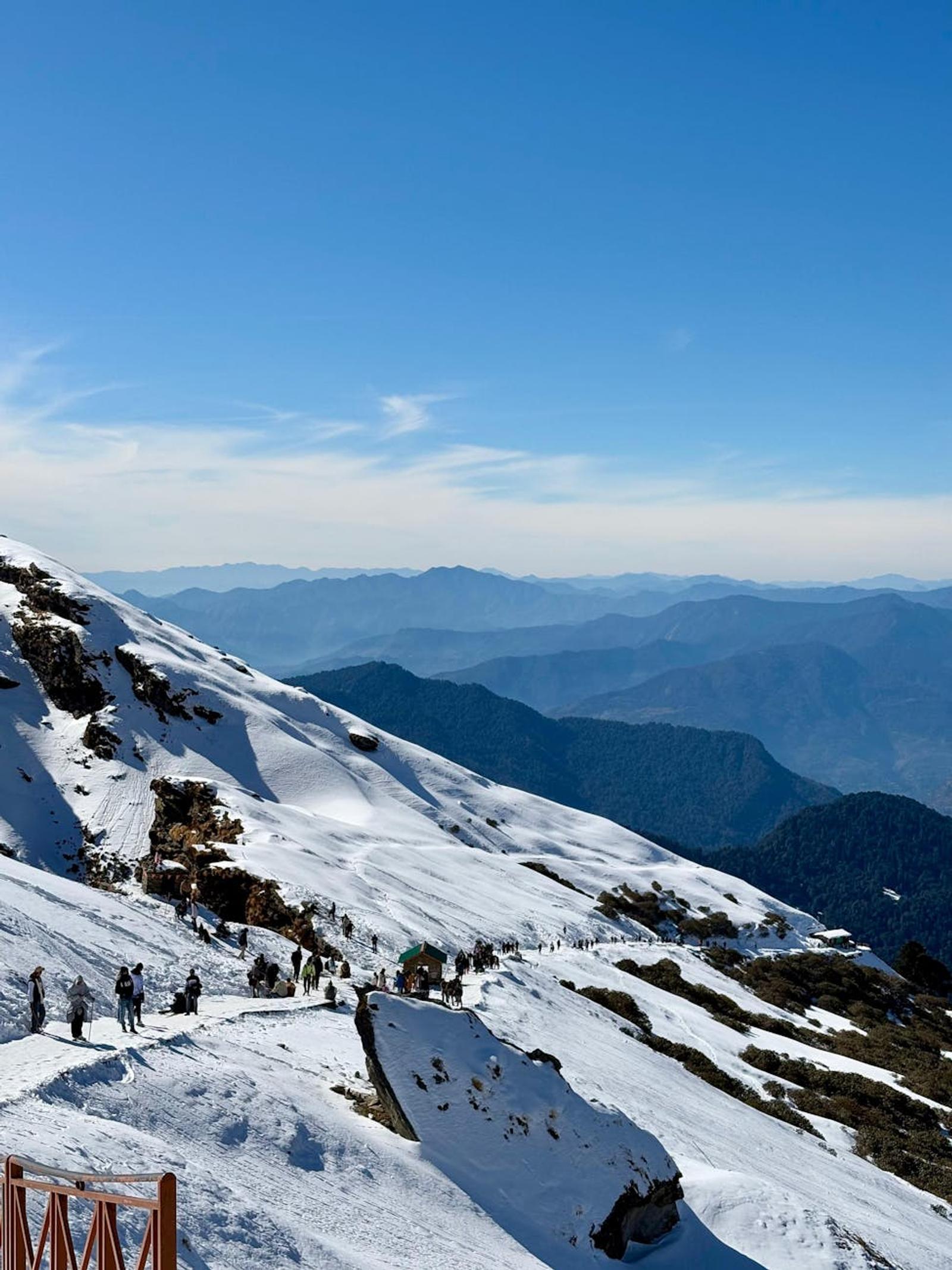 Lachen Full Excursion Chopta — Sikkim & Darjeeling, India