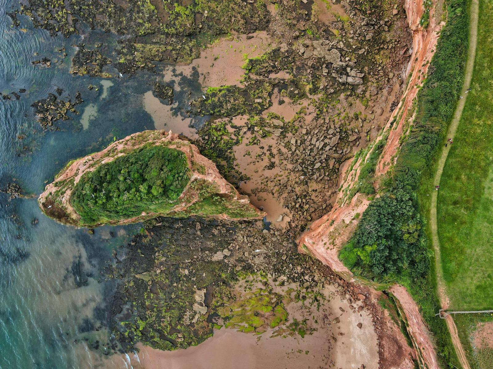 Aerial view of a tree-covered headland surrounded by rocky tidal shallows