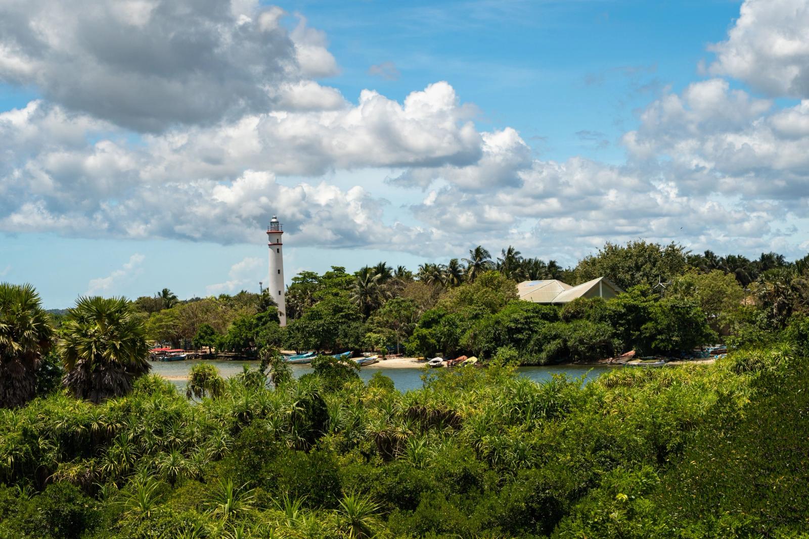 White lighthouse rising above lush greenery beside a calm lagoon