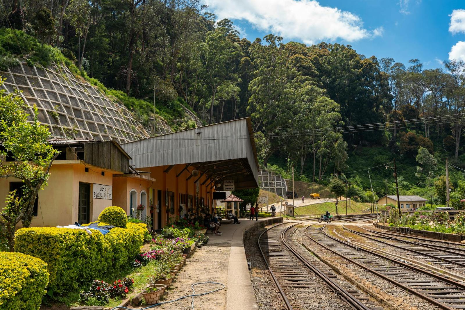 Nuwara Eliya Sightseeing — Sri Lanka