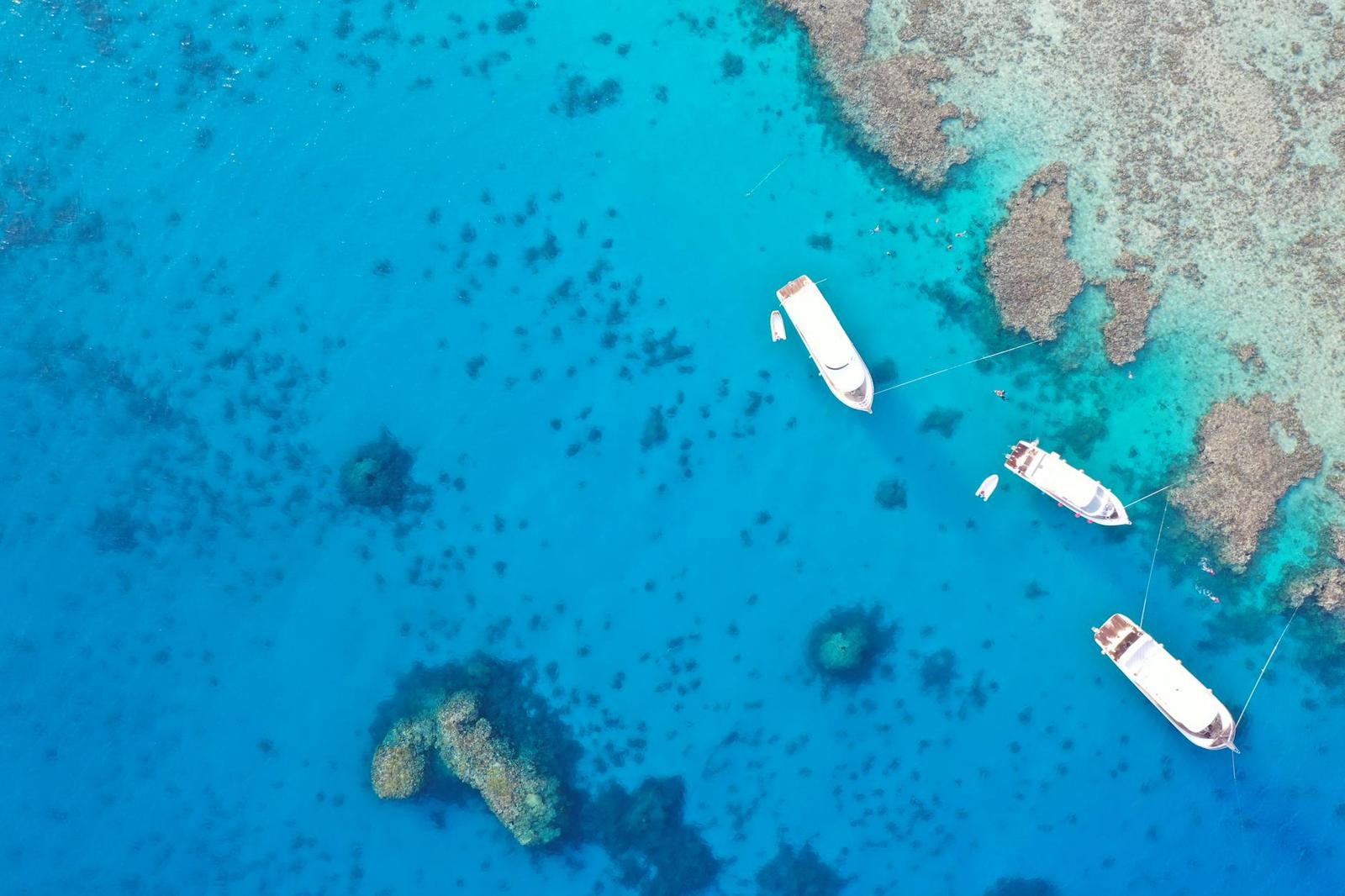 SUNLOVER MOORE REEF CRUISE (B, Australia