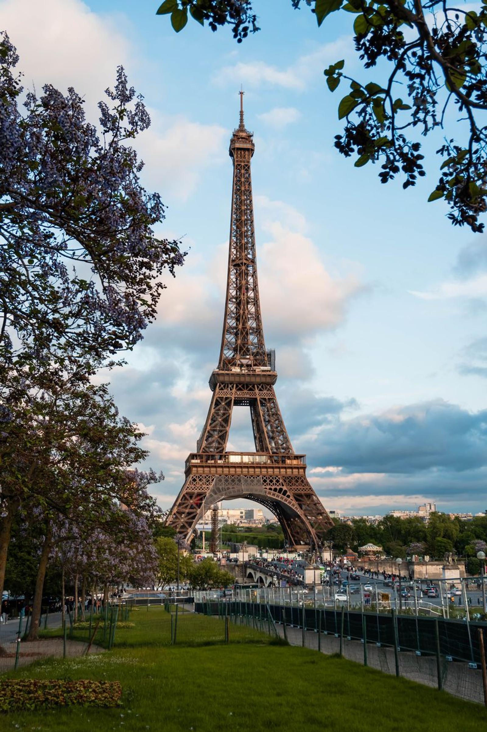 The iconic Eiffel Tower seen through blooming trees on a lovely spring day in Paris