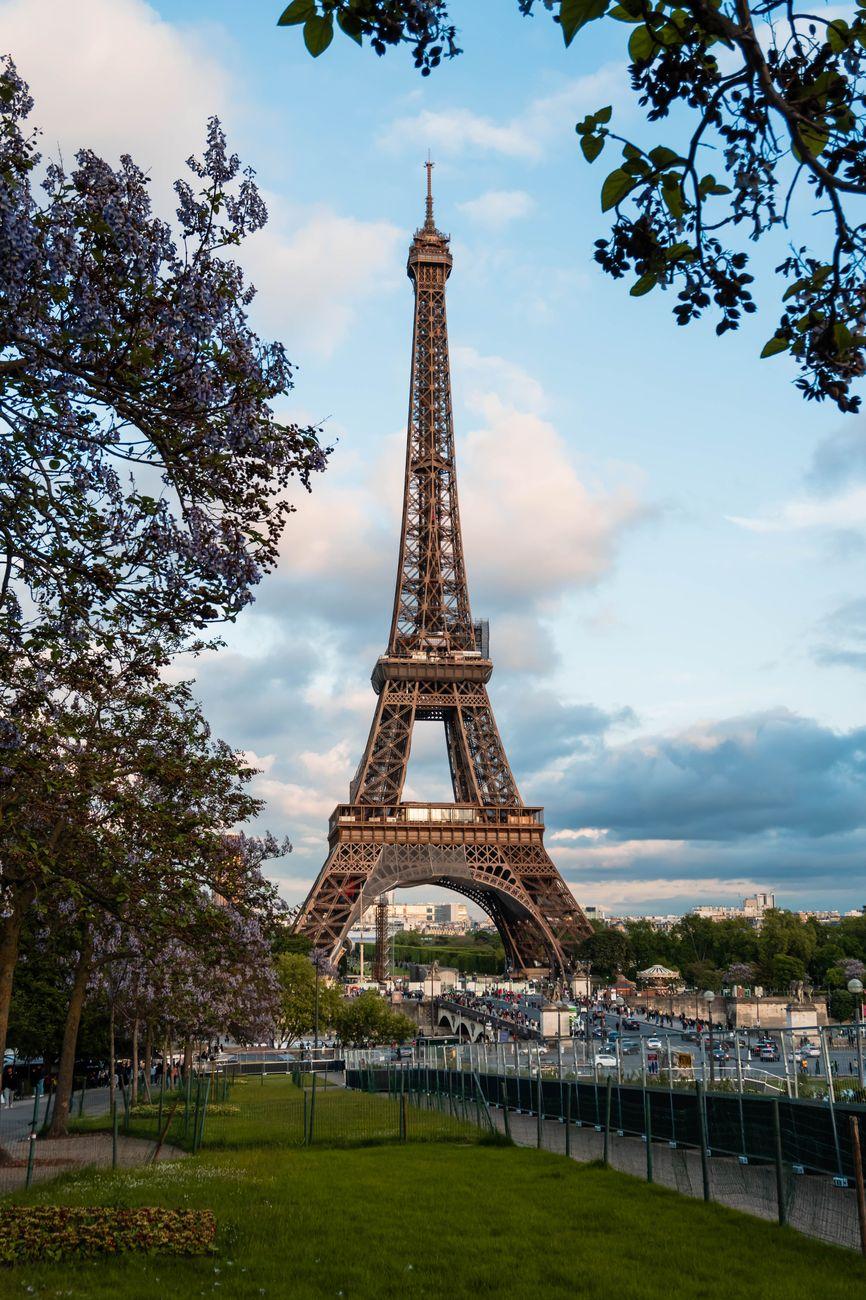 The iconic Eiffel Tower seen through blooming trees on a lovely spring day in Paris