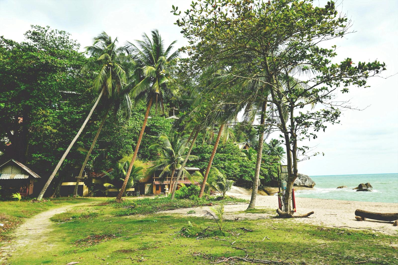 Scenic tropical beach with palm trees and villas in Ko Pha-ngan, Thailand