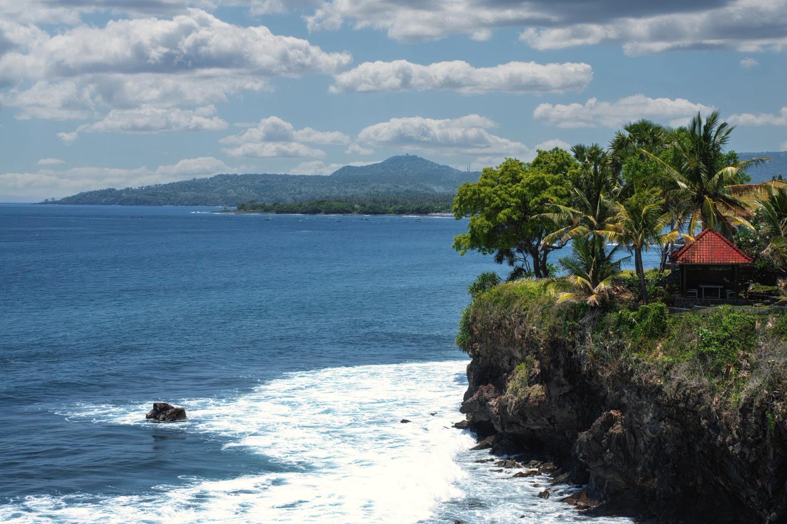 Stunning ocean view from a lush cliffside in Bali, featuring palm trees and vibrant blue waters