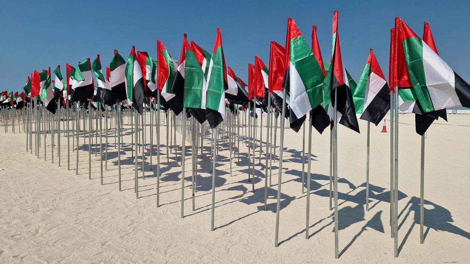 Rows of national flags planted in the sand along a beach
