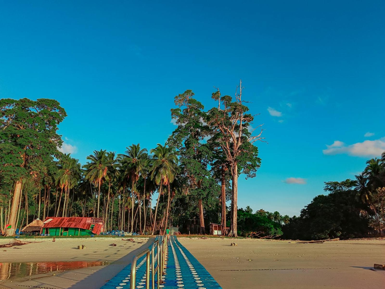 A striped wooden jetty leading through palm trees to a beach hut