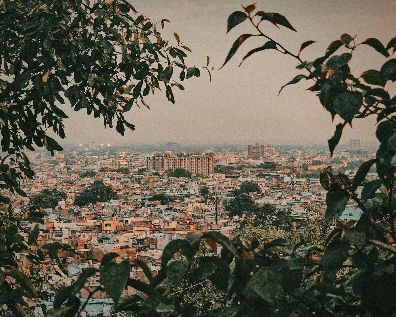 A dense city skyline framed by overhanging tree branches