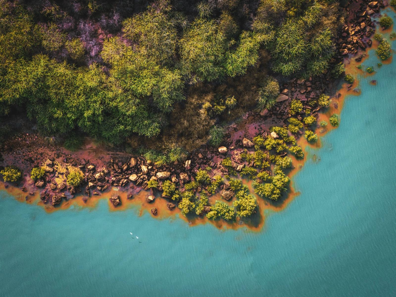 A stunning aerial shot of the lush green coastline in Khatumba, GJ, India, with azure water contrasting the vibrant foliage