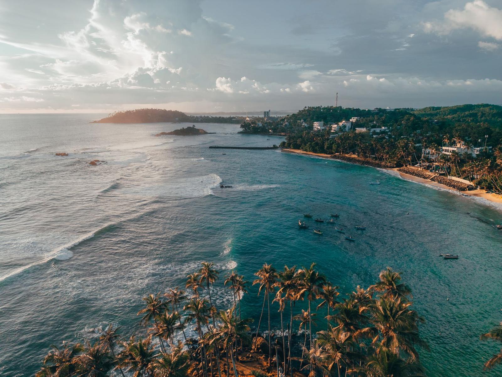 Aerial coastline view with palm trees framing calm water at golden hour