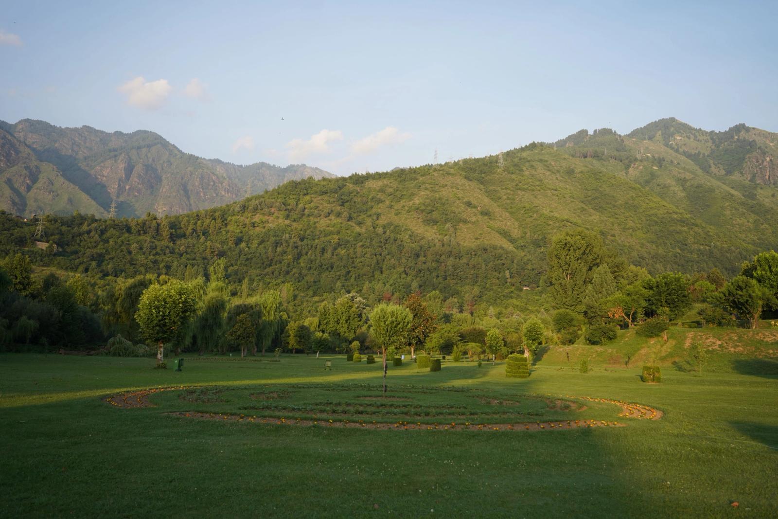 Tranquil landscape of lush greenery and rolling hills in Srinagar under a clear blue sky