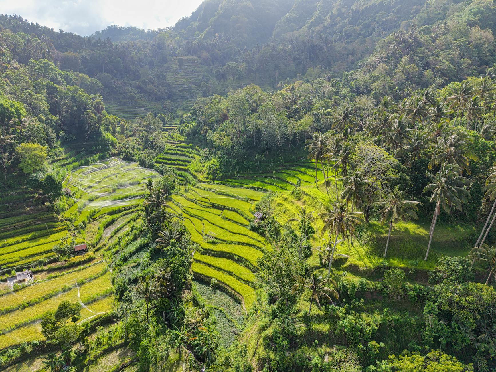 Bali on day 1, Indonesia
