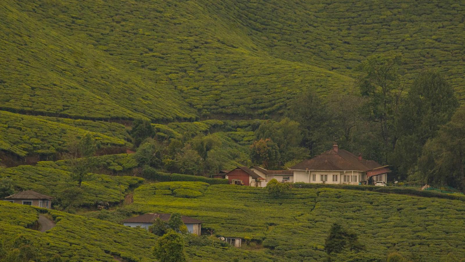 Munnar architecture at night