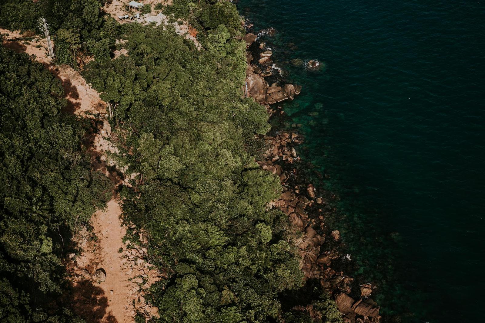 Aerial view of a forested cliff meeting a rocky turquoise shoreline
