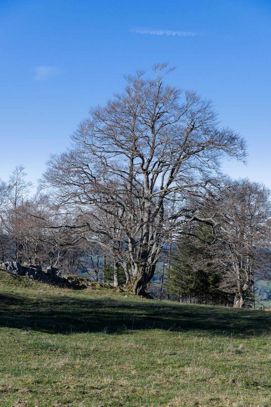 A portrait moment in Finland + Switzerland + France