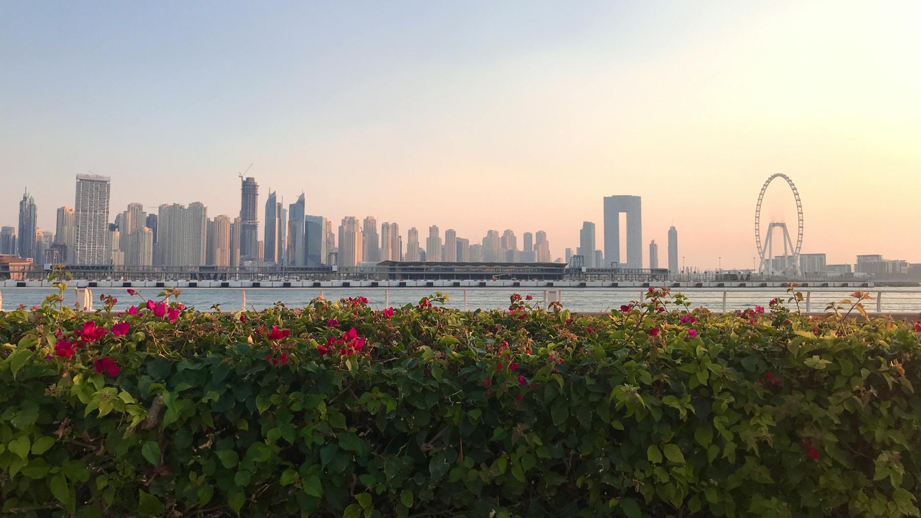UAE at golden hour
