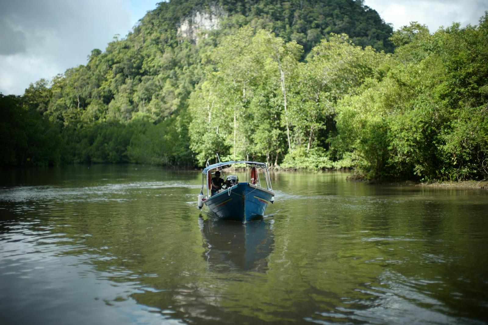 A tranquil boat ride through lush mangroves in Langkawi, Malaysia