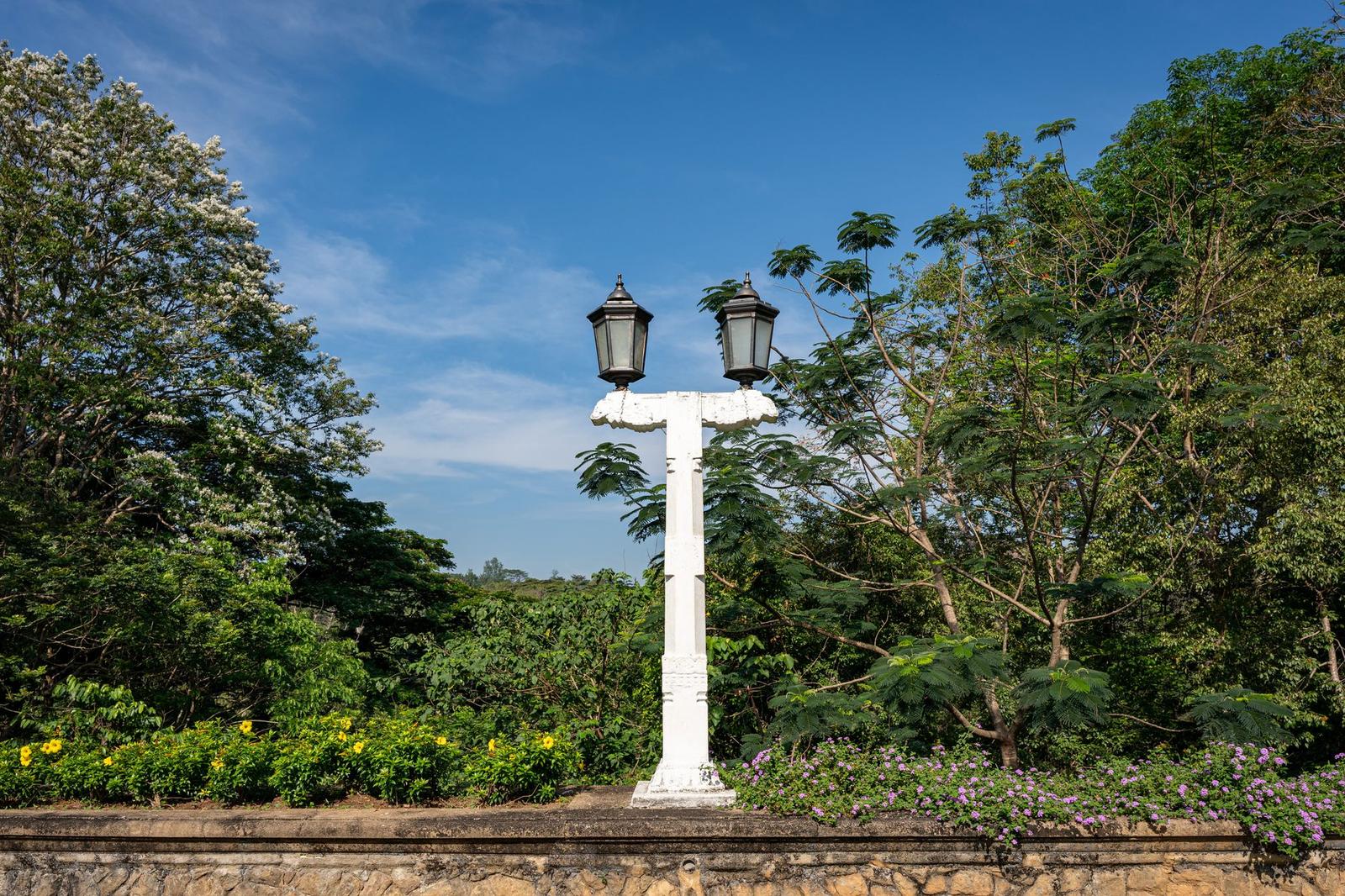 Peradeniya gardens — Kandy, Sri Lanka