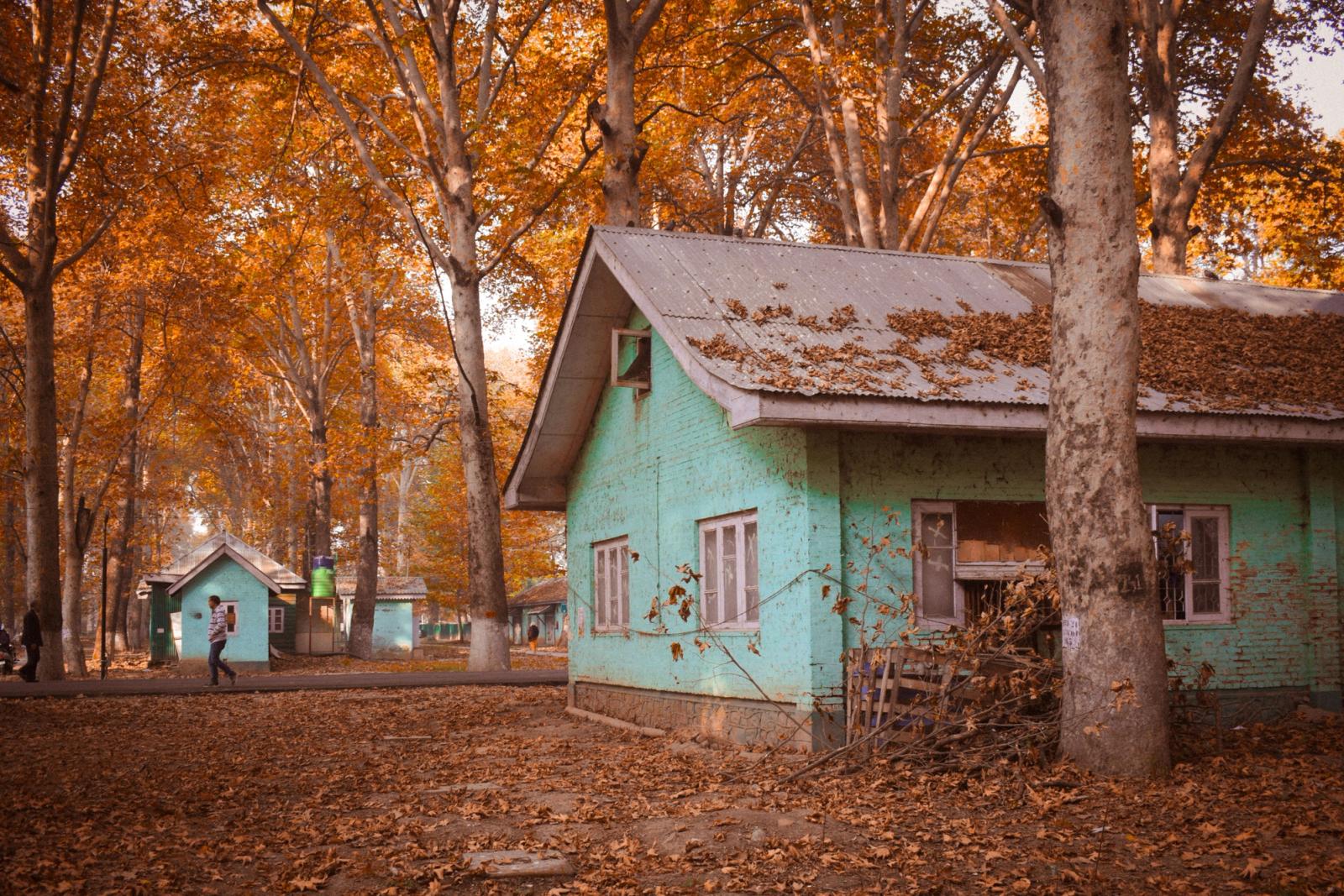 Charming green house amidst vibrant fall foliage in Srinagar, Kashmir