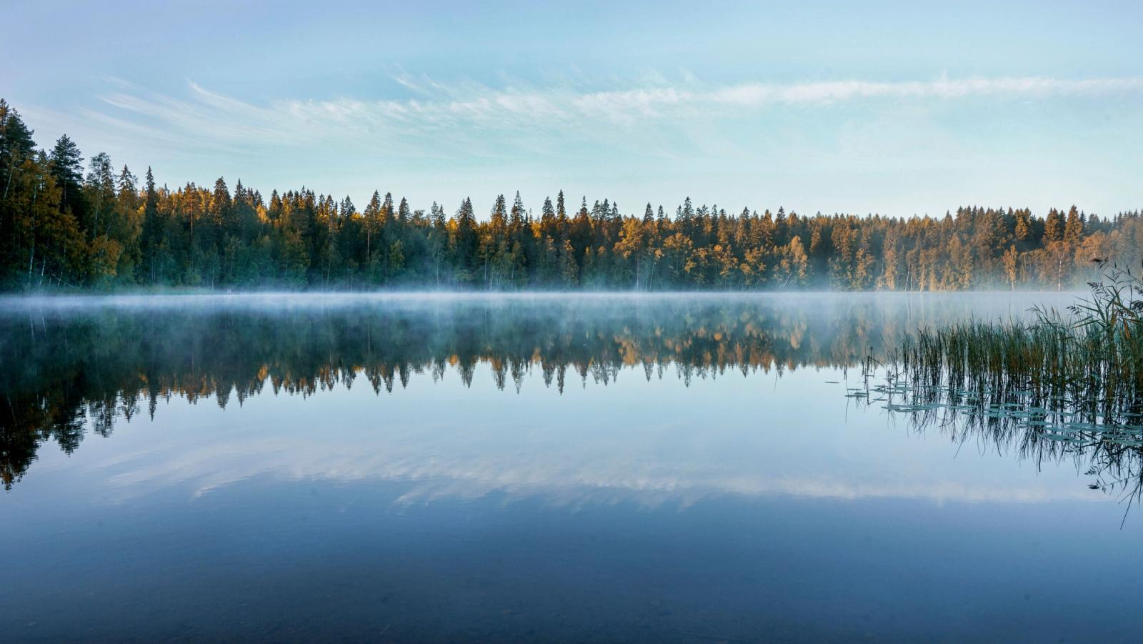 A tranquil Finnish lake reflects the forest and morning mist at sunrise