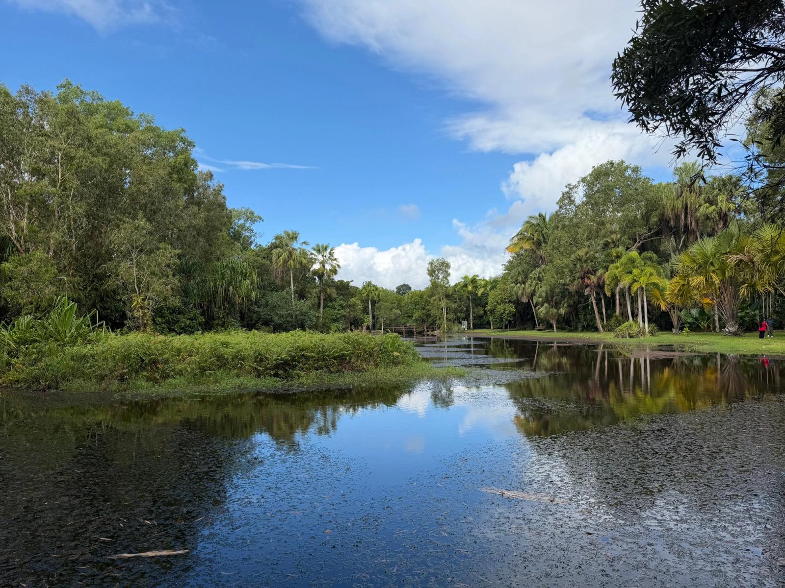 Calm water reflects lush greenery under a bright blue sky in this serene Cairns lagoon