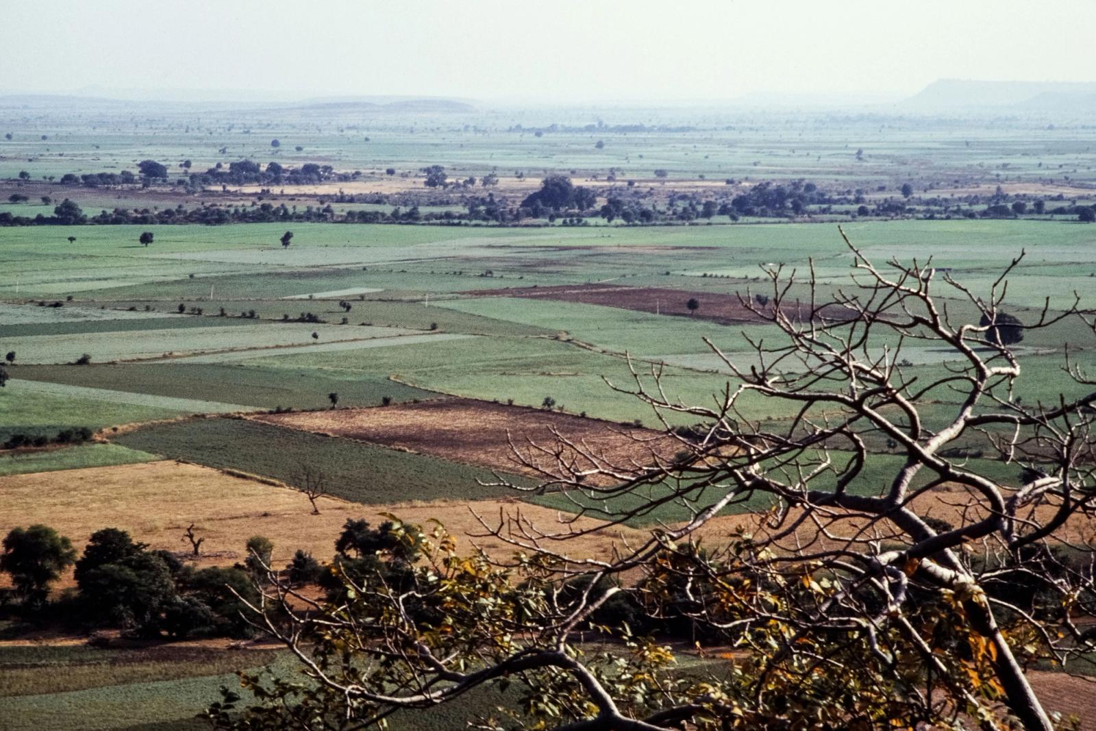 Aerial view of lush rural farmland in India with vibrant fields and trees