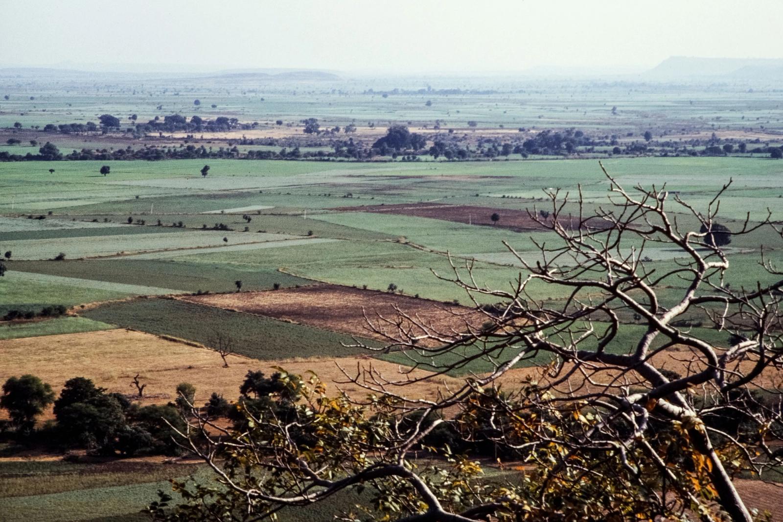 Aerial view of lush rural farmland in India with vibrant fields and trees