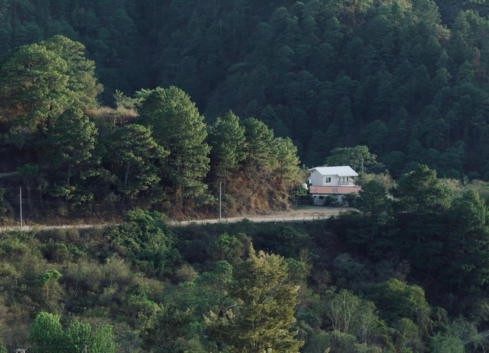 A lone house on a hill surrounded by dense, lush green forest landscape