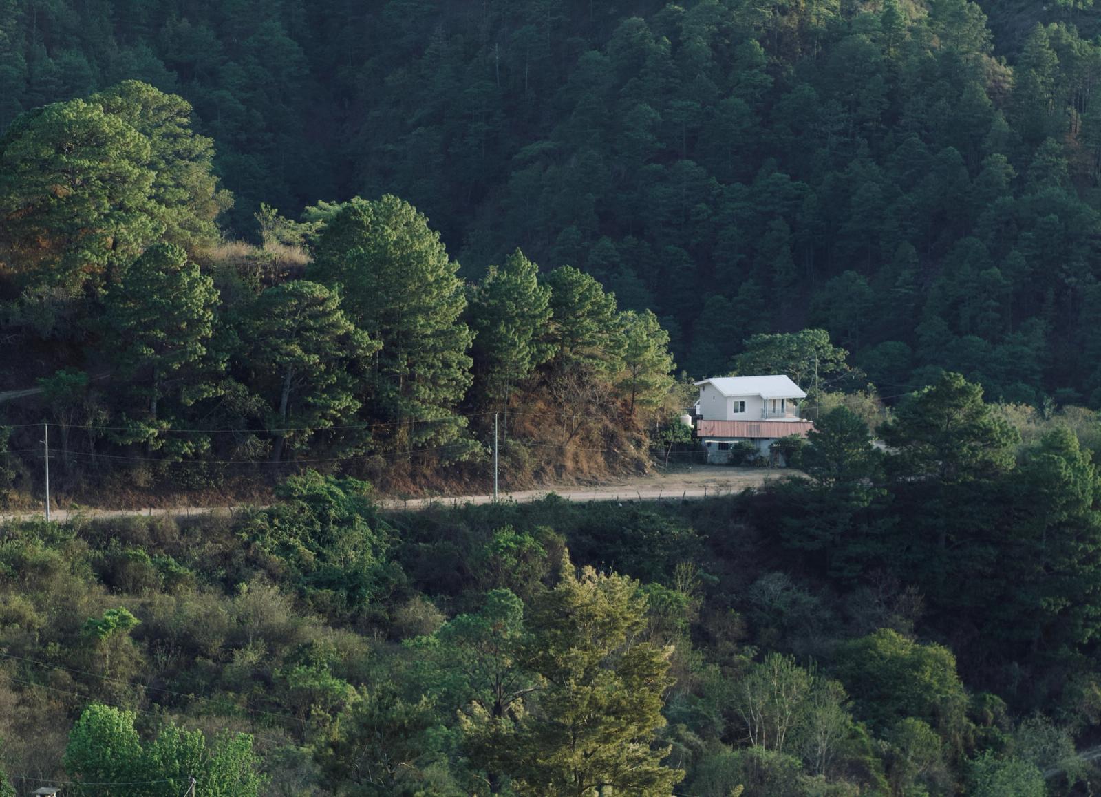 A lone house on a hill surrounded by dense, lush green forest landscape