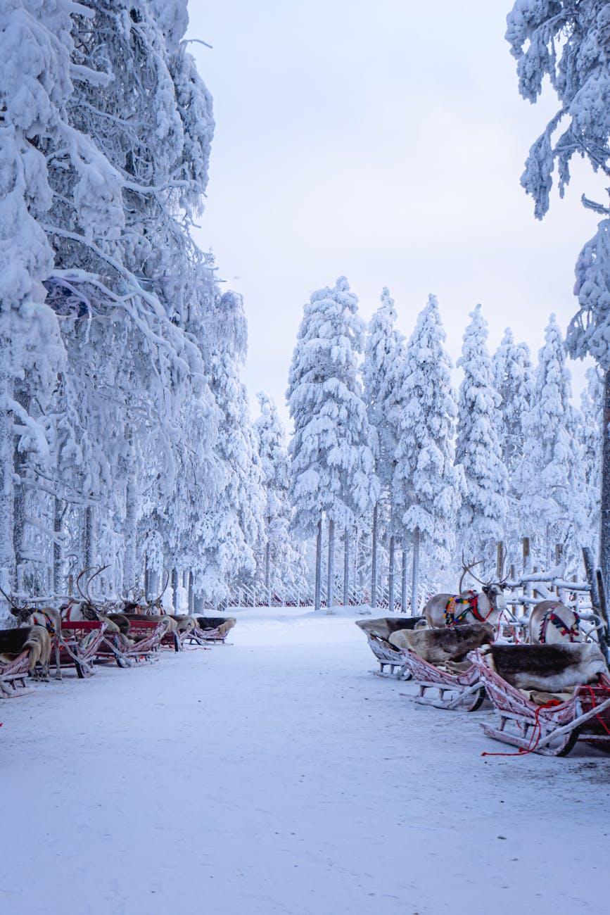 Inari Rovaniemi Santa Claus — Finland