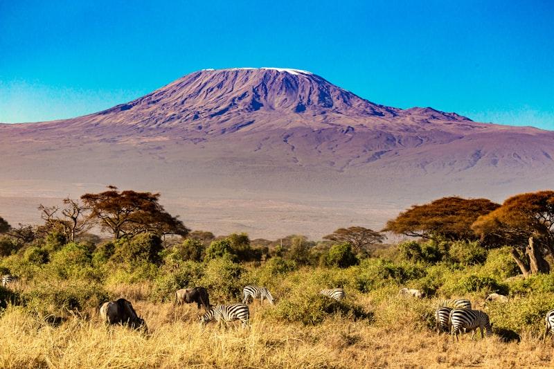 Kilimanjaro Uhuru Peak
