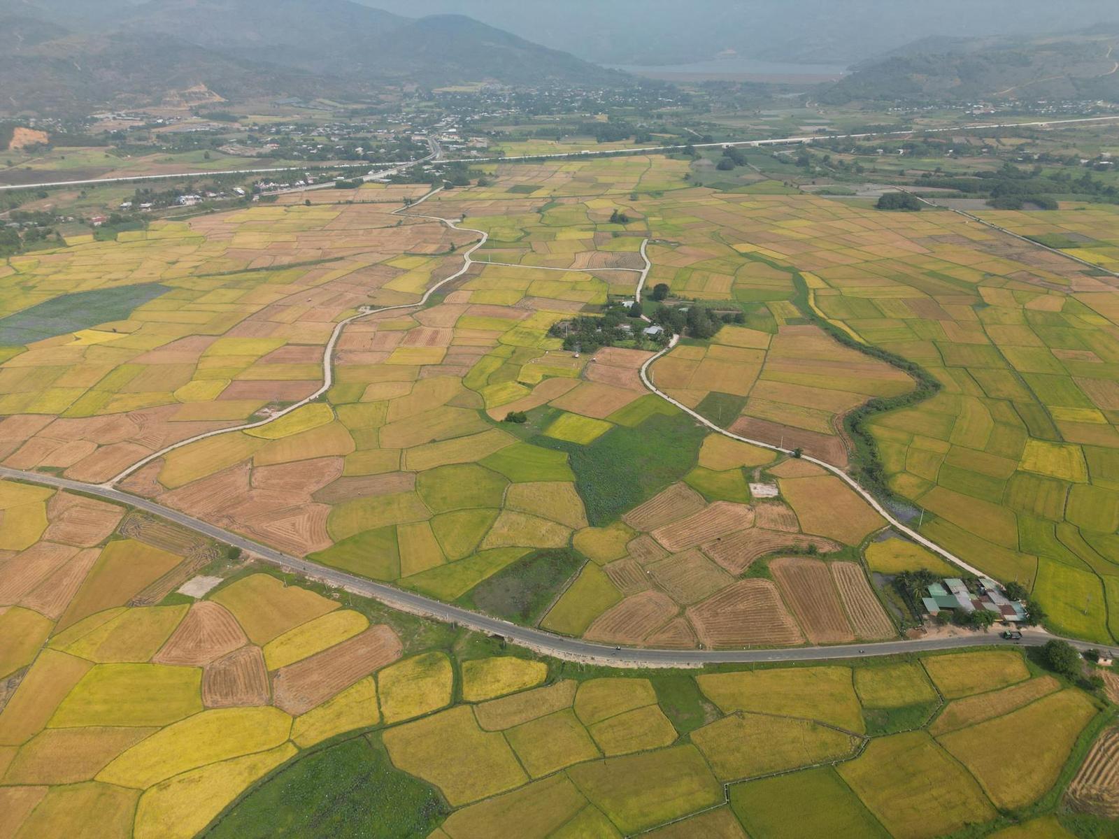 Land on day 7, Vietnam