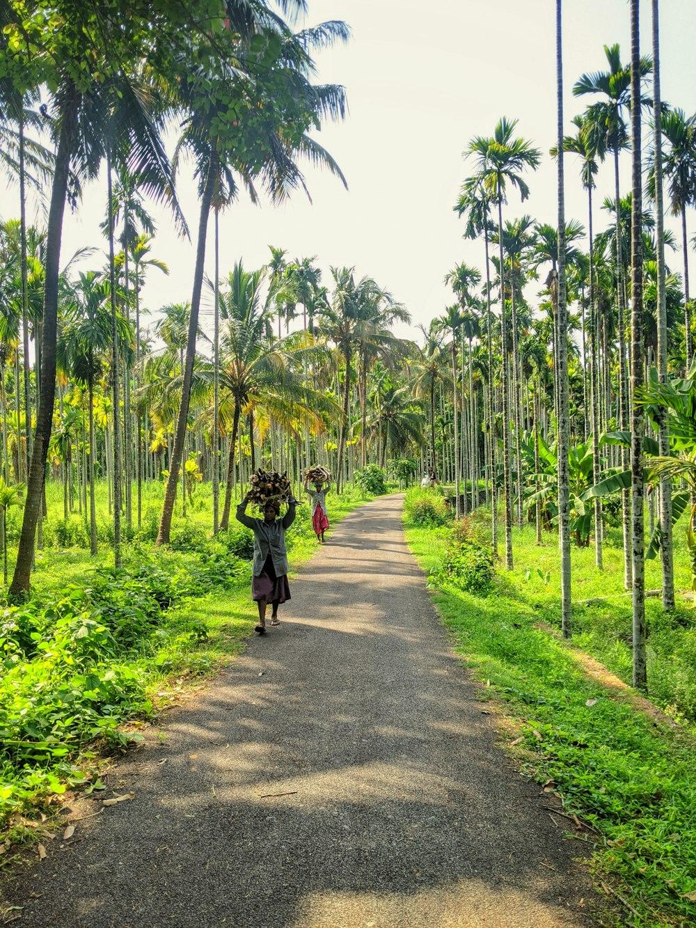 Spice plantation trail & lunch