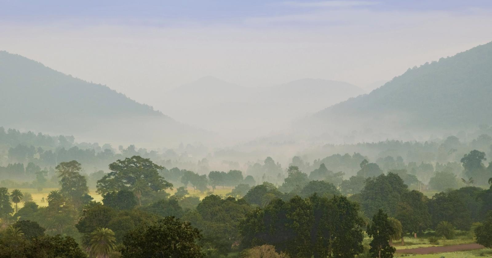 Mist rising over a forested valley between two hills at dawn