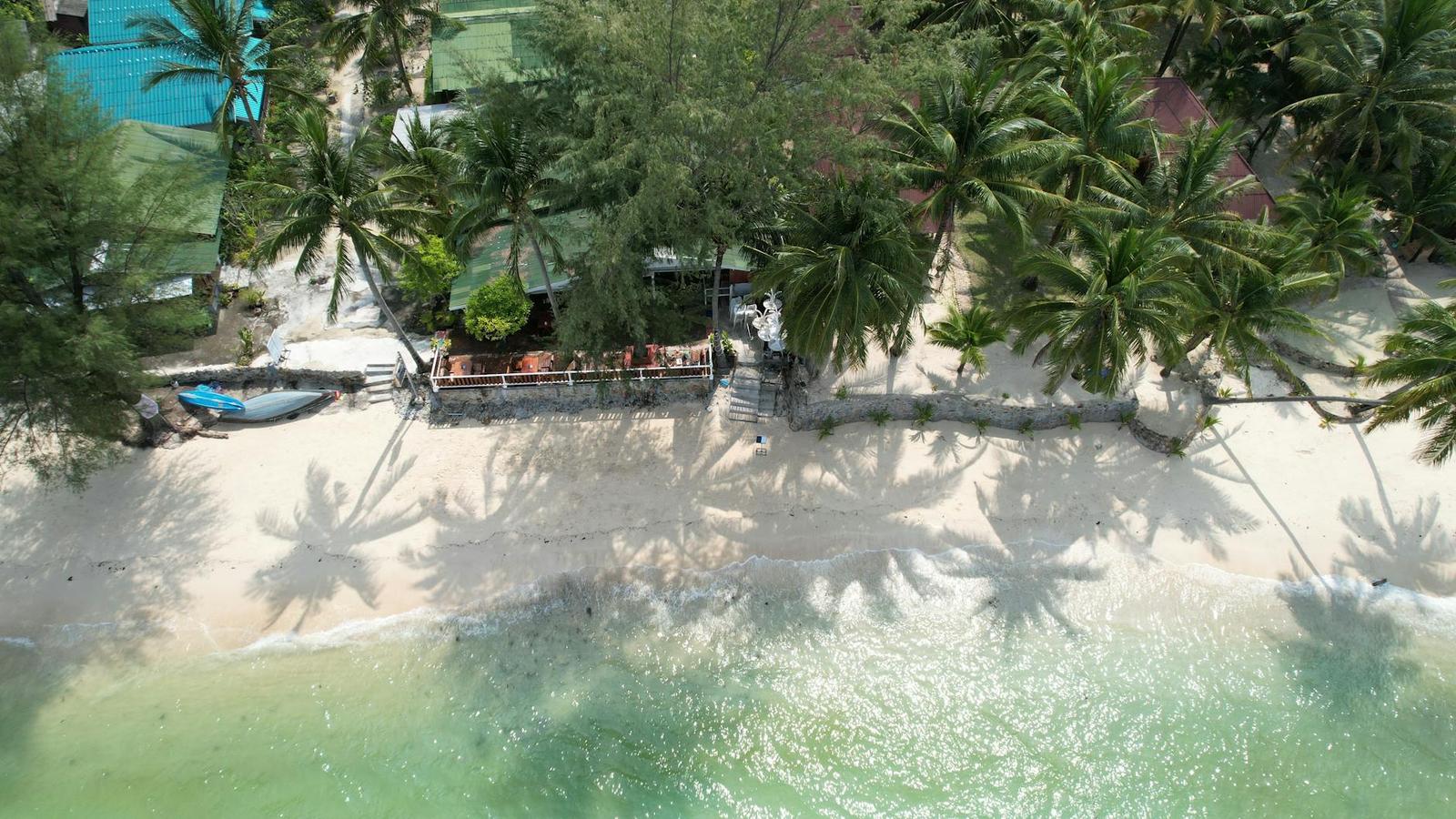 Aerial view of a beachfront restaurant shaded by rows of palm trees