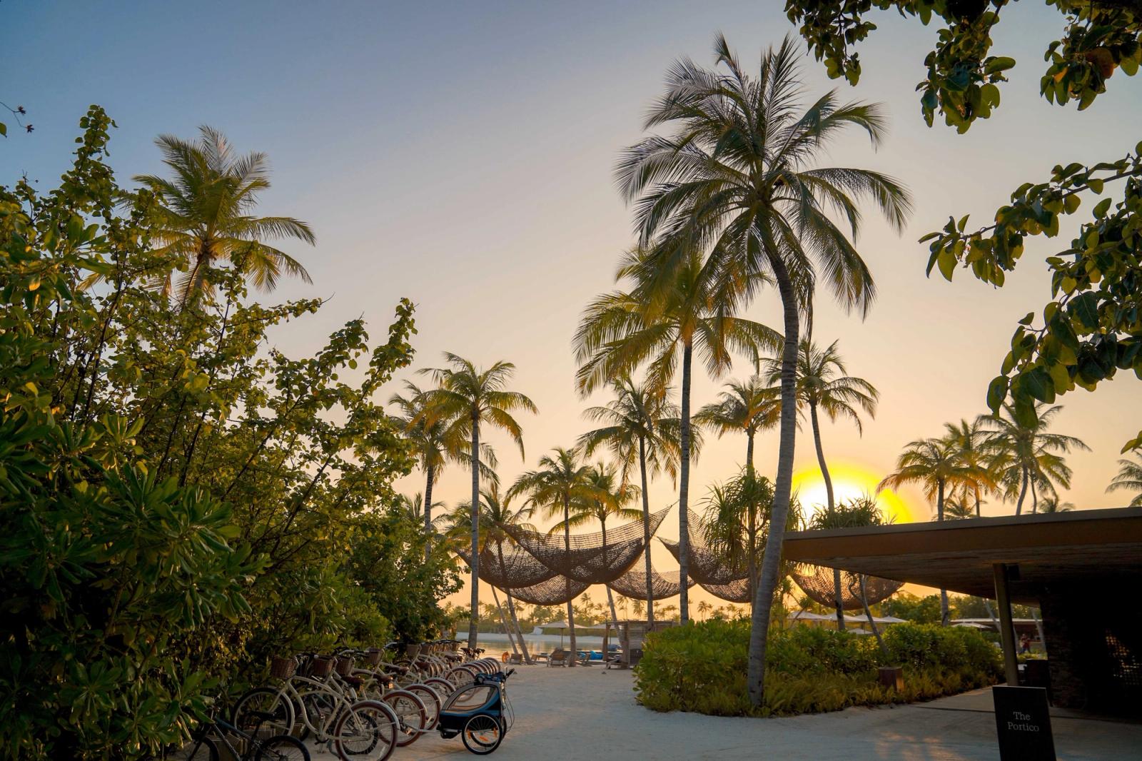 Explore a picturesque tropical beach with palm trees and bicycles at sunset, perfect for a relaxing vacation