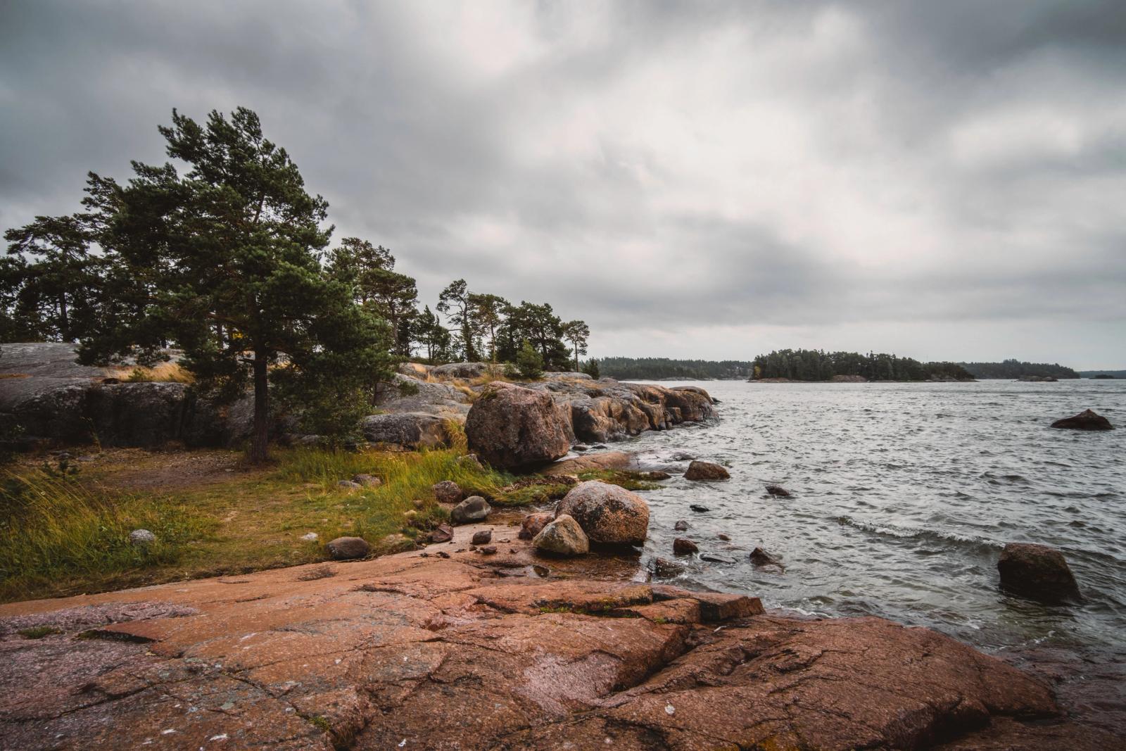 Explore the rugged coastline and pine trees of the Baltic Sea under a cloudy sky