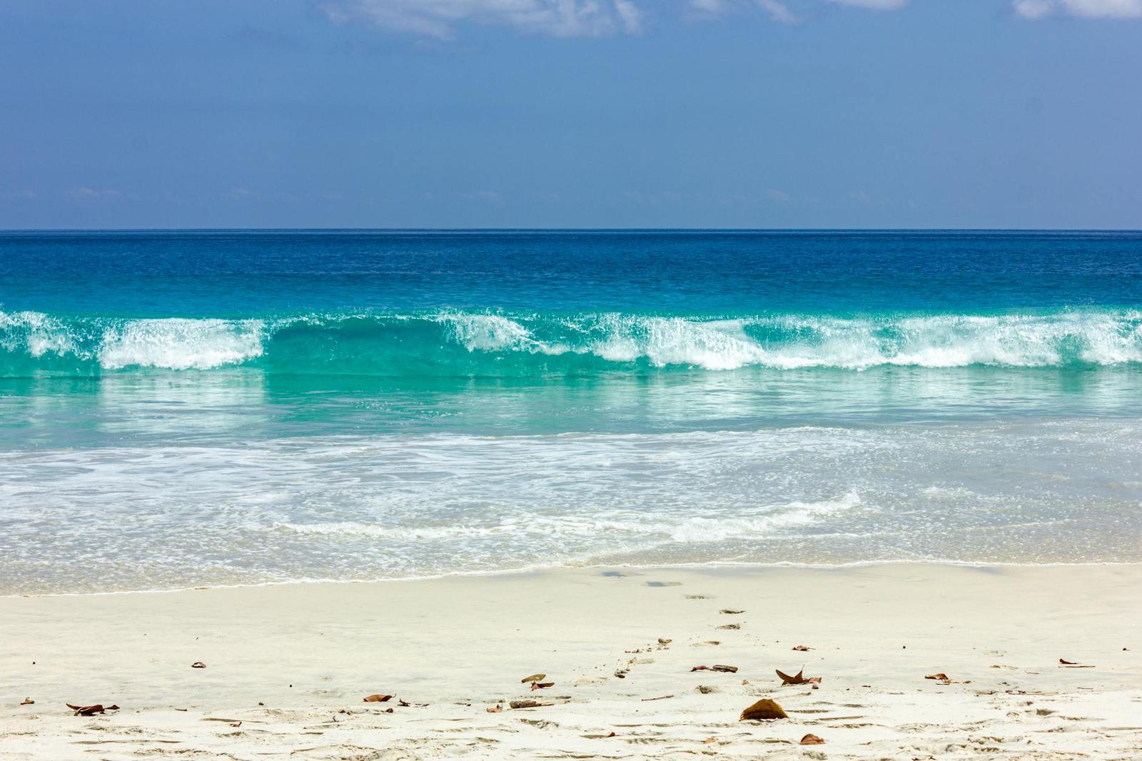 Turquoise waves breaking onto a white sand beach with driftwood scattered nearby