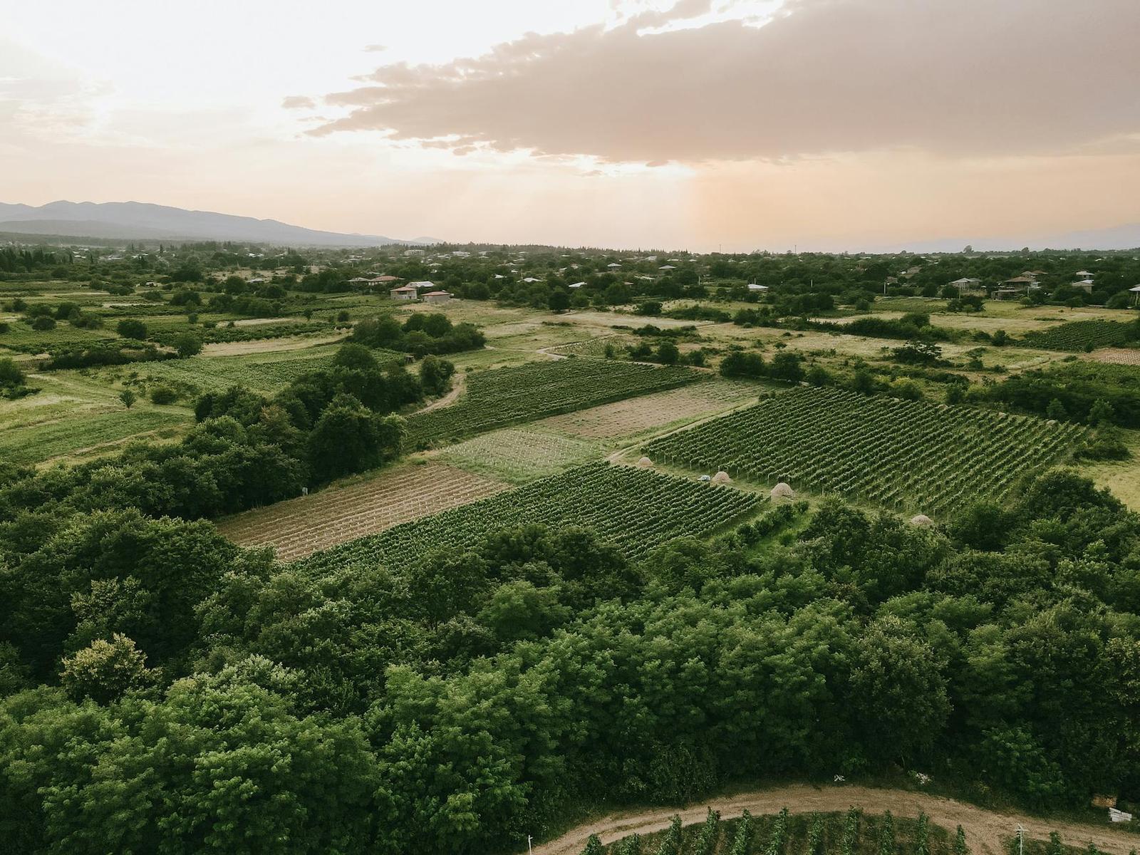 Tbilisi + Kazbegi + Kakheti Wine, Azerbaijan + Georgia