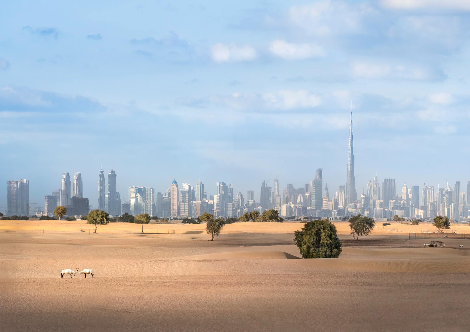 Desert, UAE