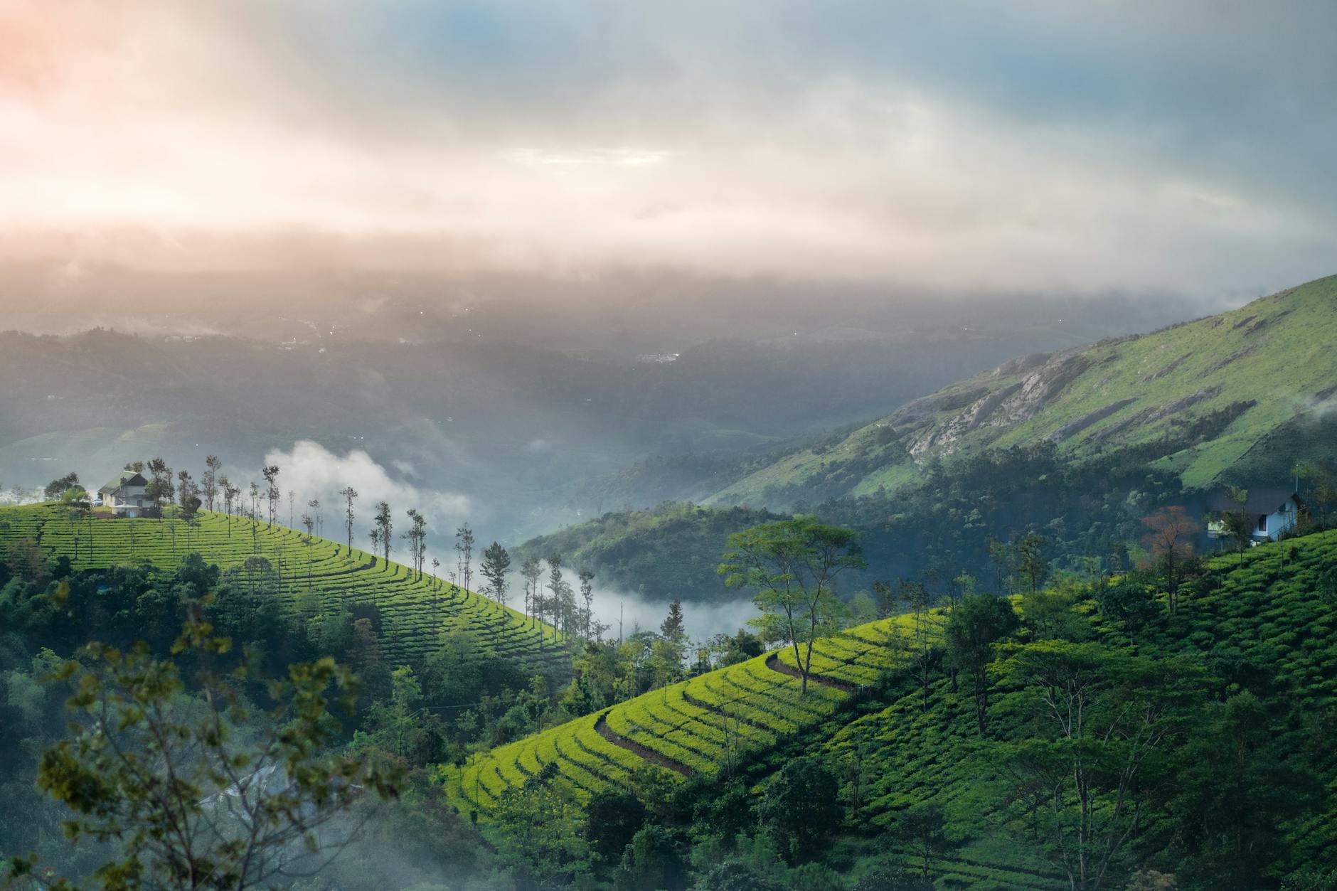 A hotel in Munnar, India