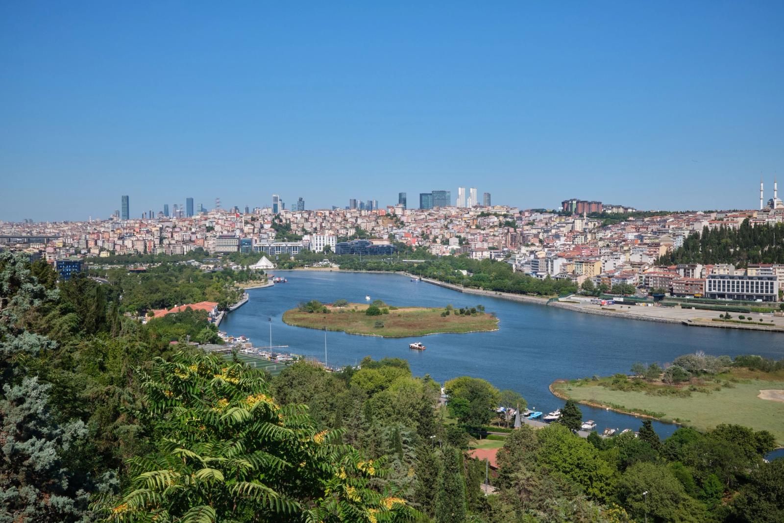 Captivating cityscape of Istanbul featuring the Golden Horn and lush greenery under a clear blue sky