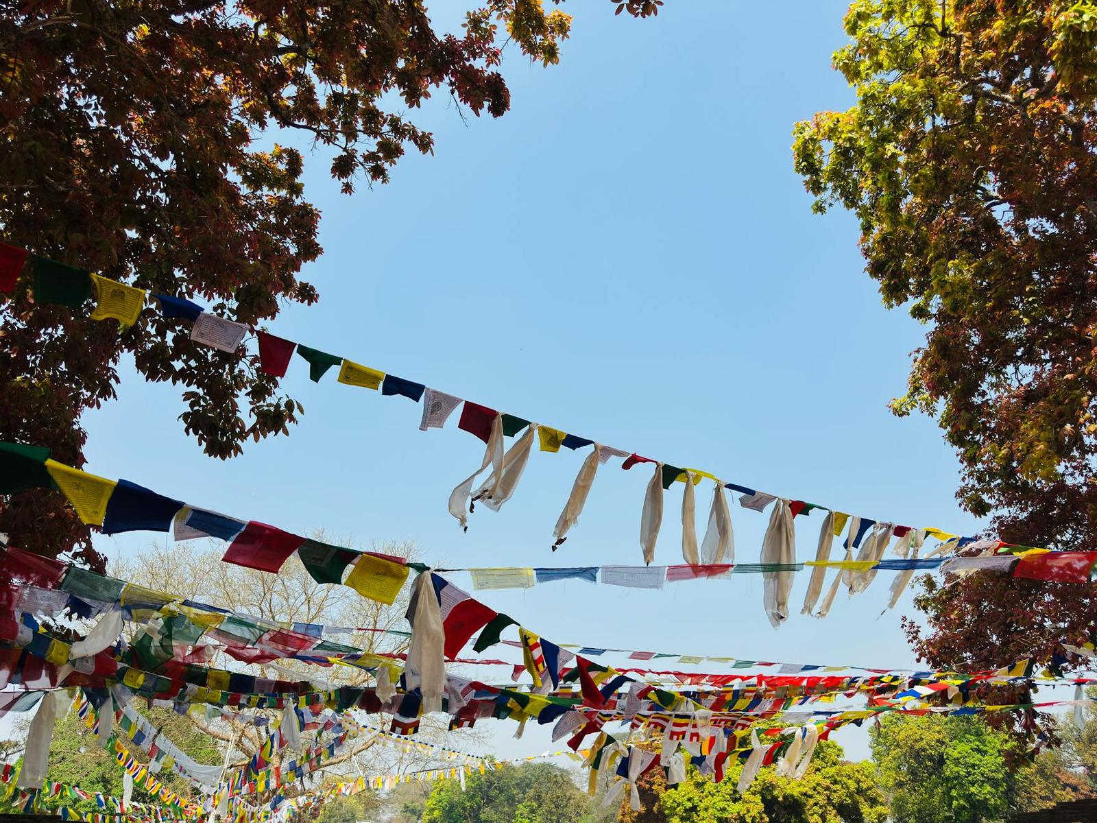 Vibrant prayer flags flutter among trees, creating a serene atmosphere in Butwal, Nepal