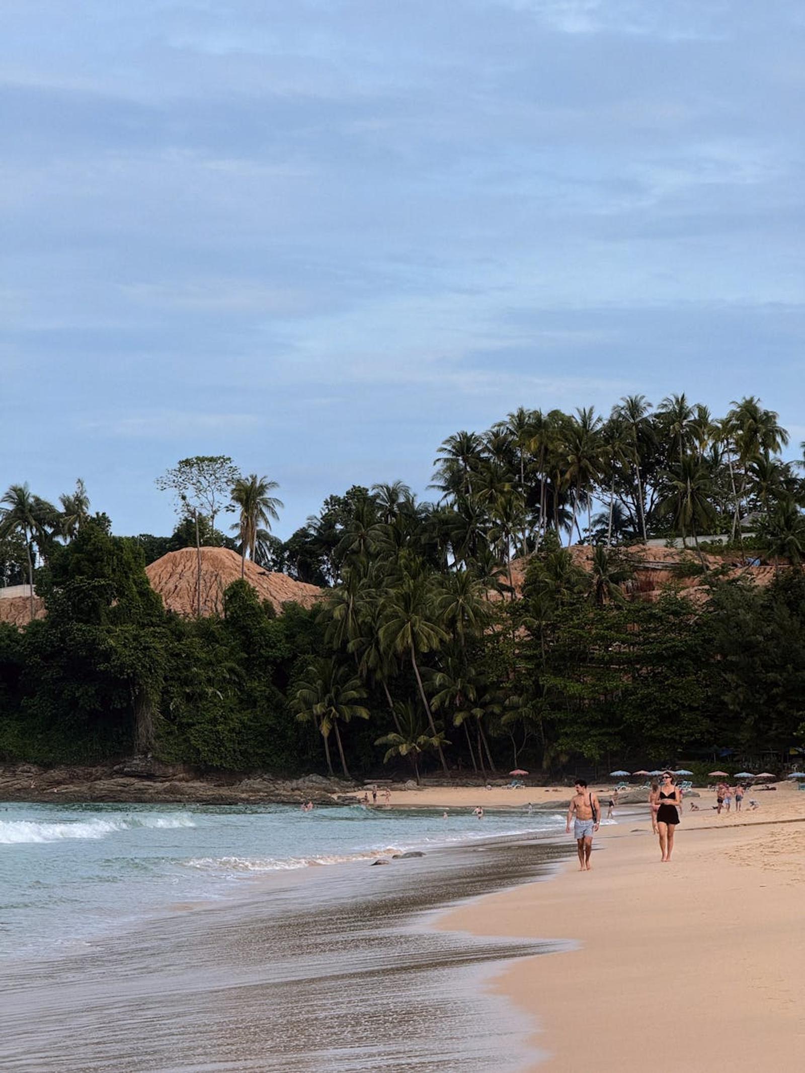 Two people walking a tropical beach lined with palms at dusk